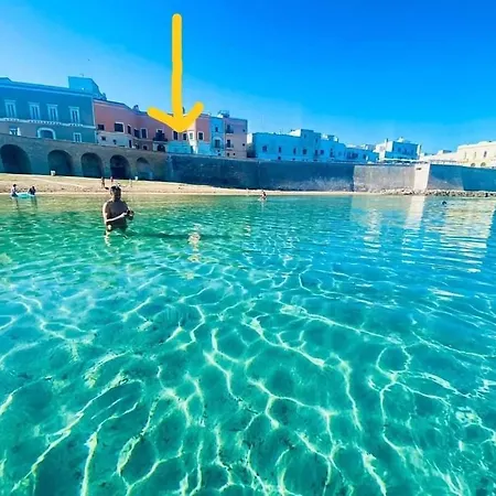 Bellevue Saby גאליפולי