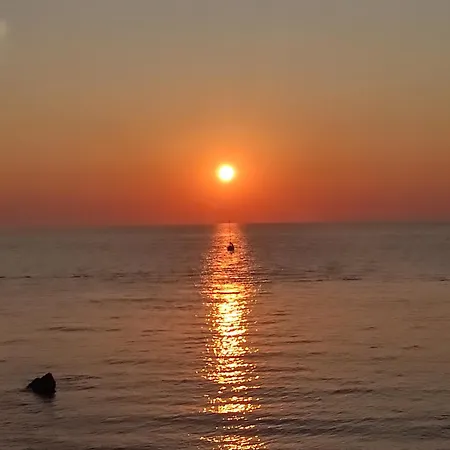 Bellevue Saby * גאליפולי